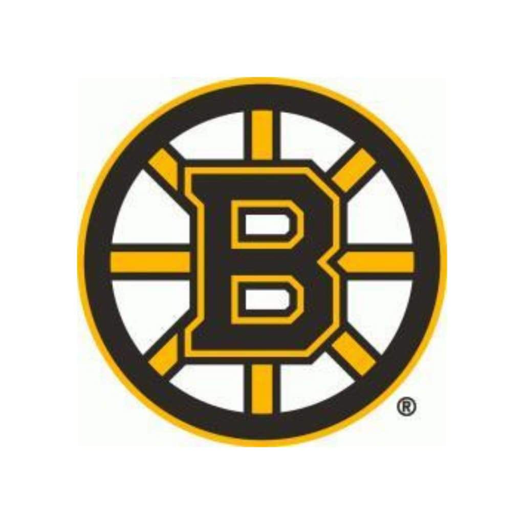 2020-2021 Parkhurst Nhl Team Set Bruins
