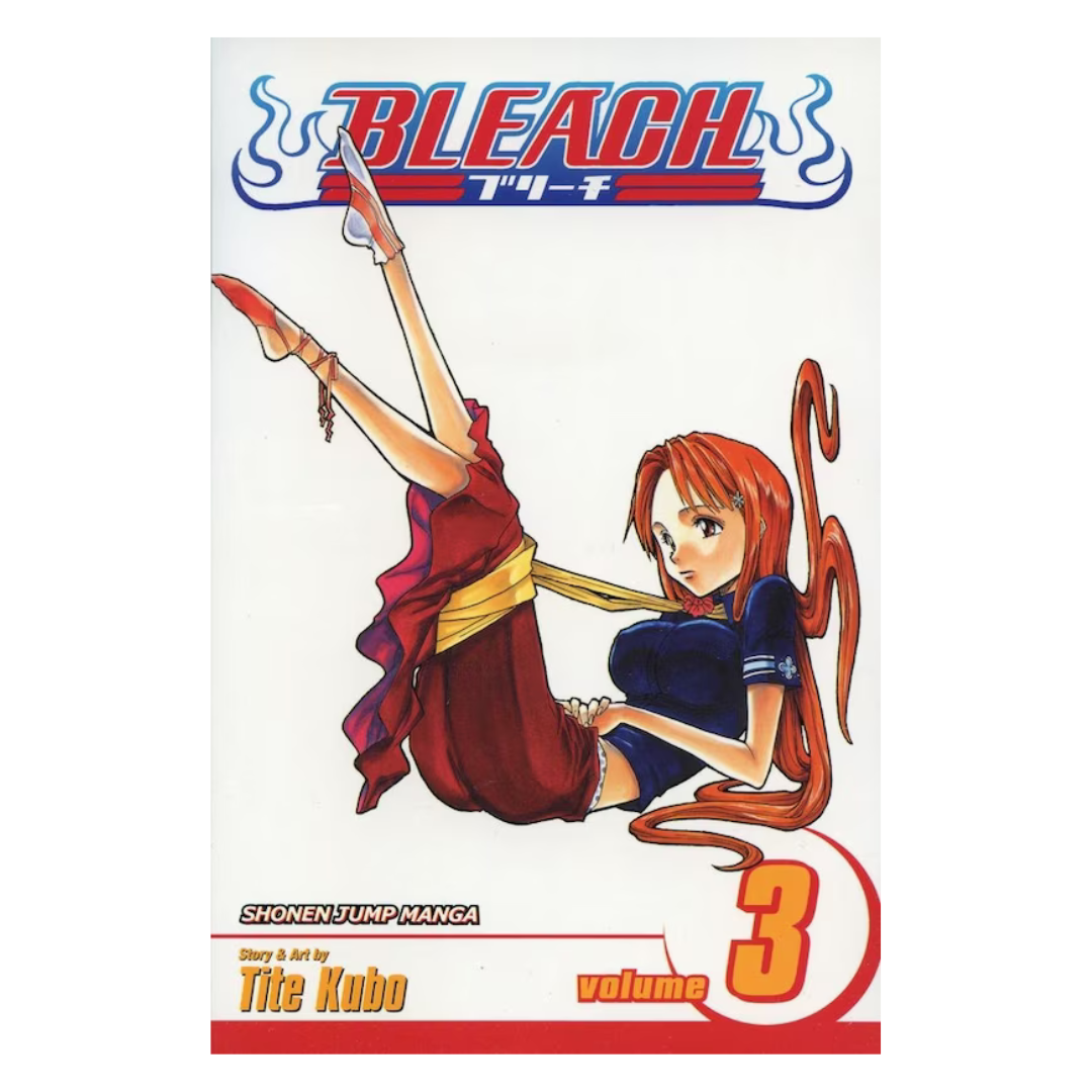 Bleach, Vol. 3